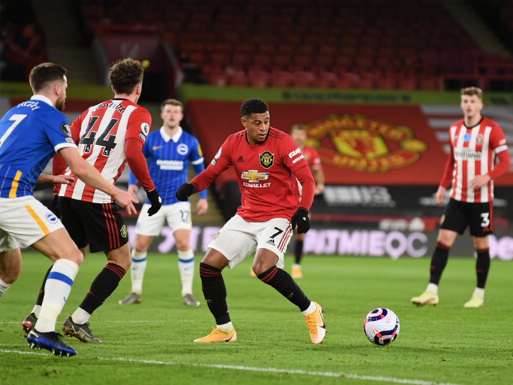 注和心理素 注和心理素